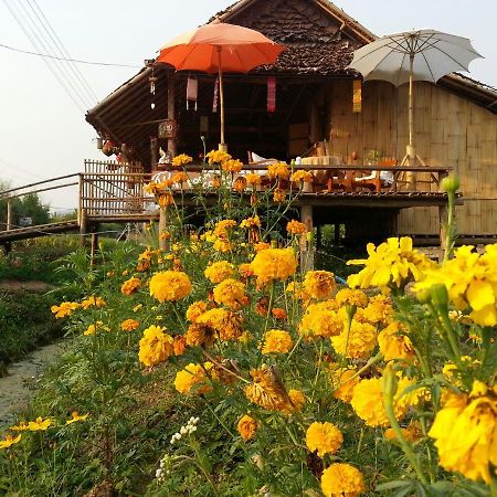 Tulip Resort Pai Bagian luar foto