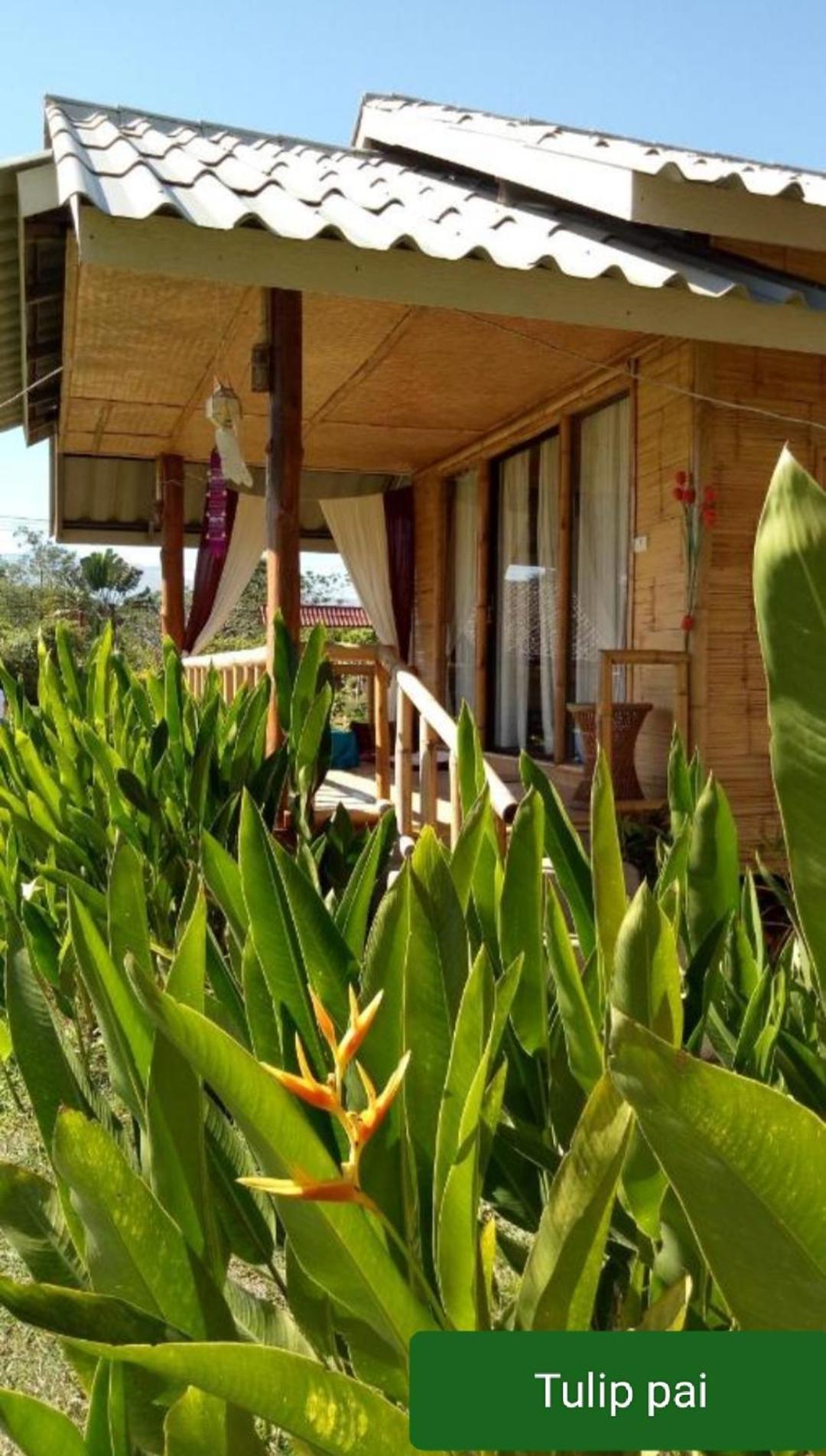 Tulip Resort Pai Bagian luar foto