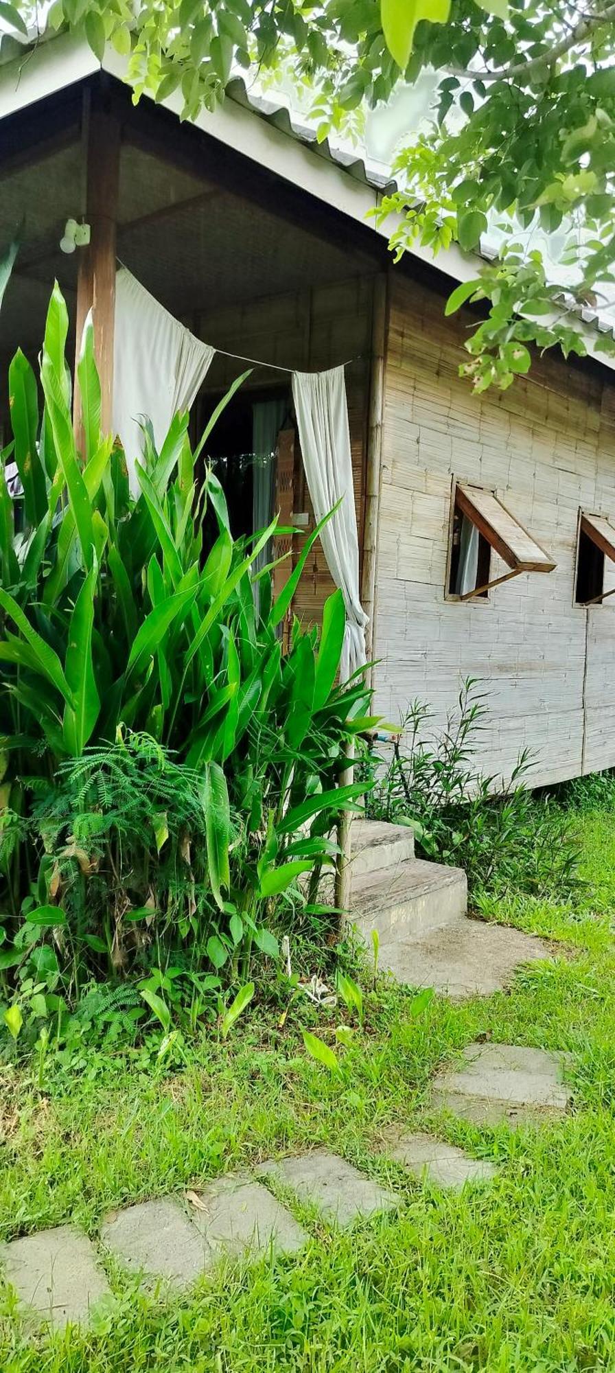 Tulip Resort Pai Bagian luar foto