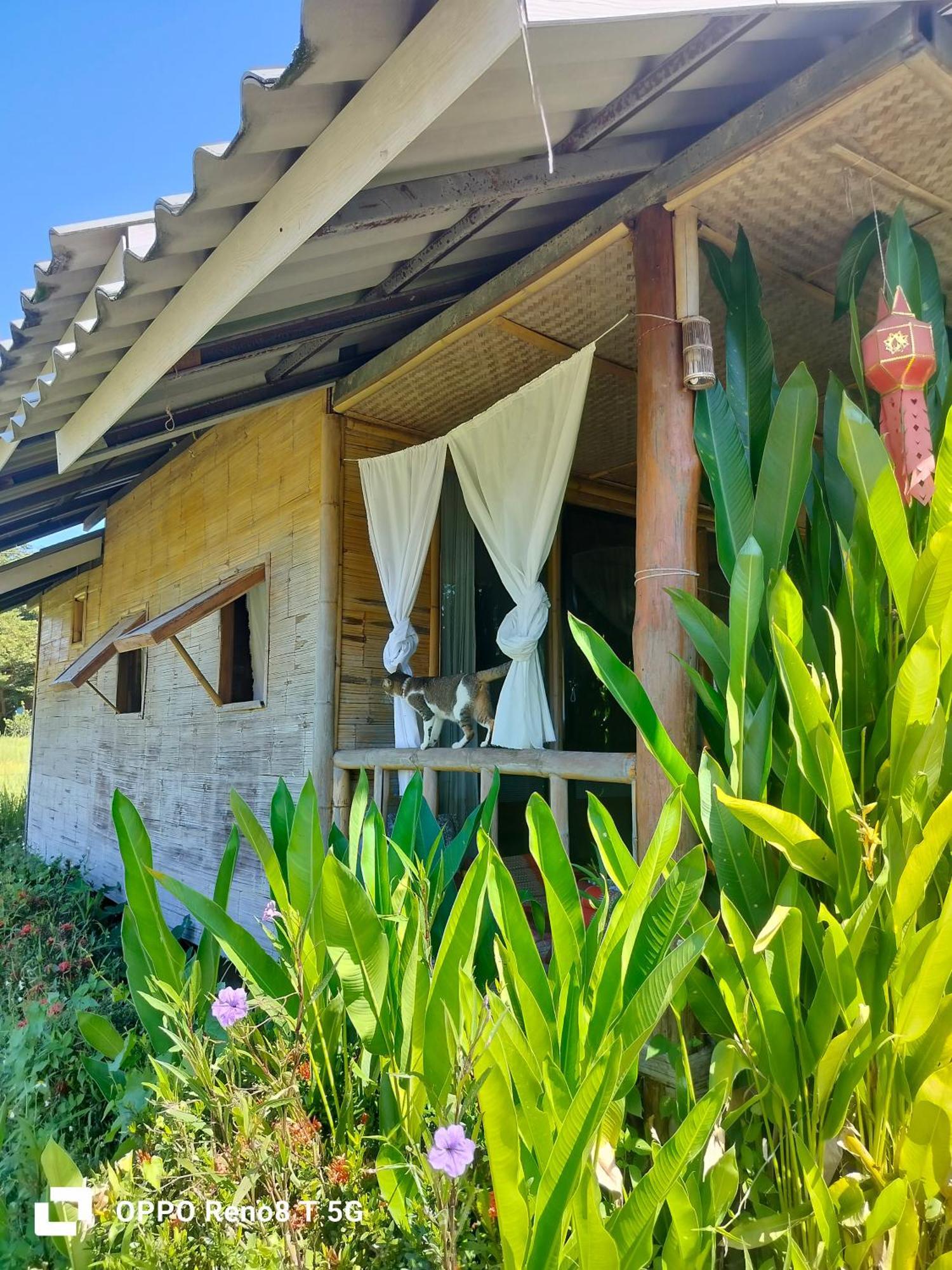 Tulip Resort Pai Bagian luar foto