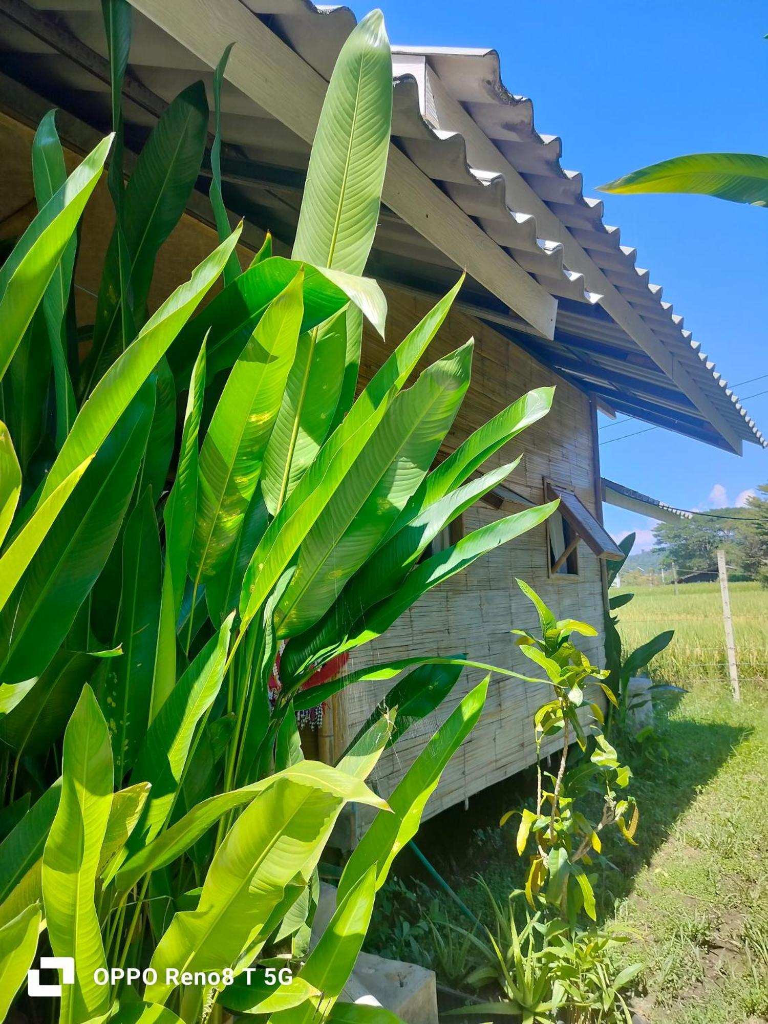 Tulip Resort Pai Ruang foto
