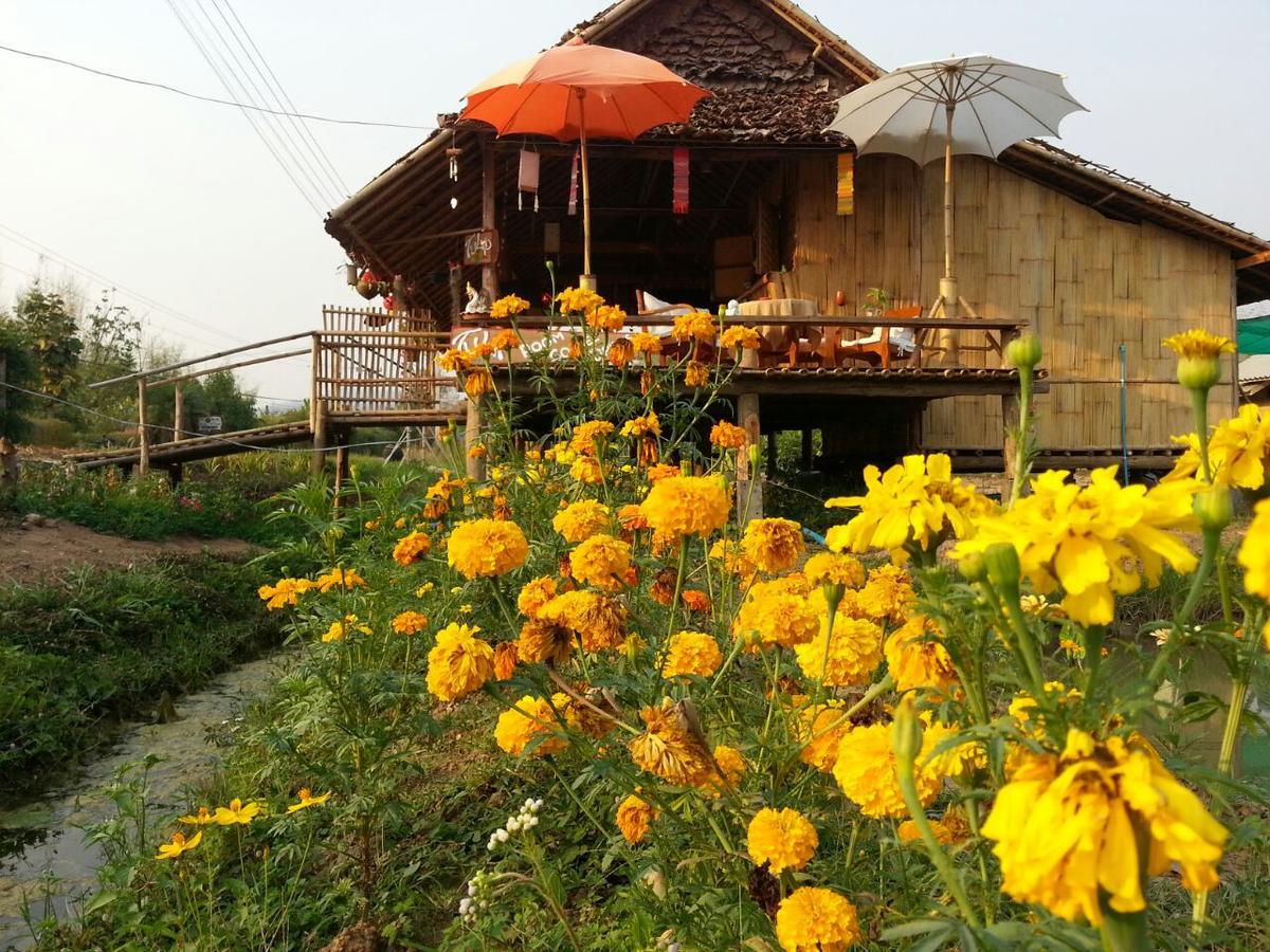 Tulip Resort Pai Bagian luar foto